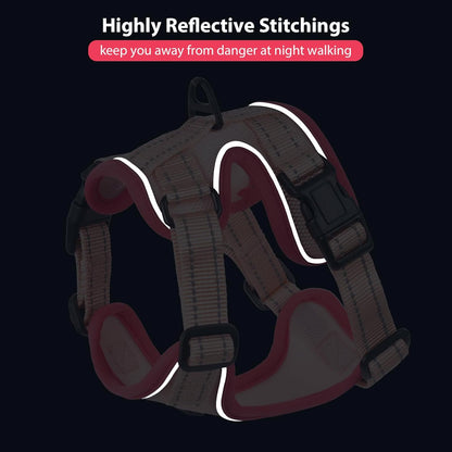 Rttochfy Cat Harness and Leash Set, Adjustable and Reflective Cat Vest, Escape Proof Kitten Harness, Easy to Put on with 3 Buckles for Cats Walking and Traveling (Pink, S)