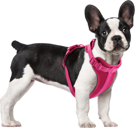 Wisedog No Pull Lightweight Dog Vest Harness with Soft and Comfortable Cushion, Breathable Mesh, for Small Medium Large Dogs Walking (M(Neck: 11.81"-18.11";Chest: 18.11"-27.95"), Peacock Pink)
