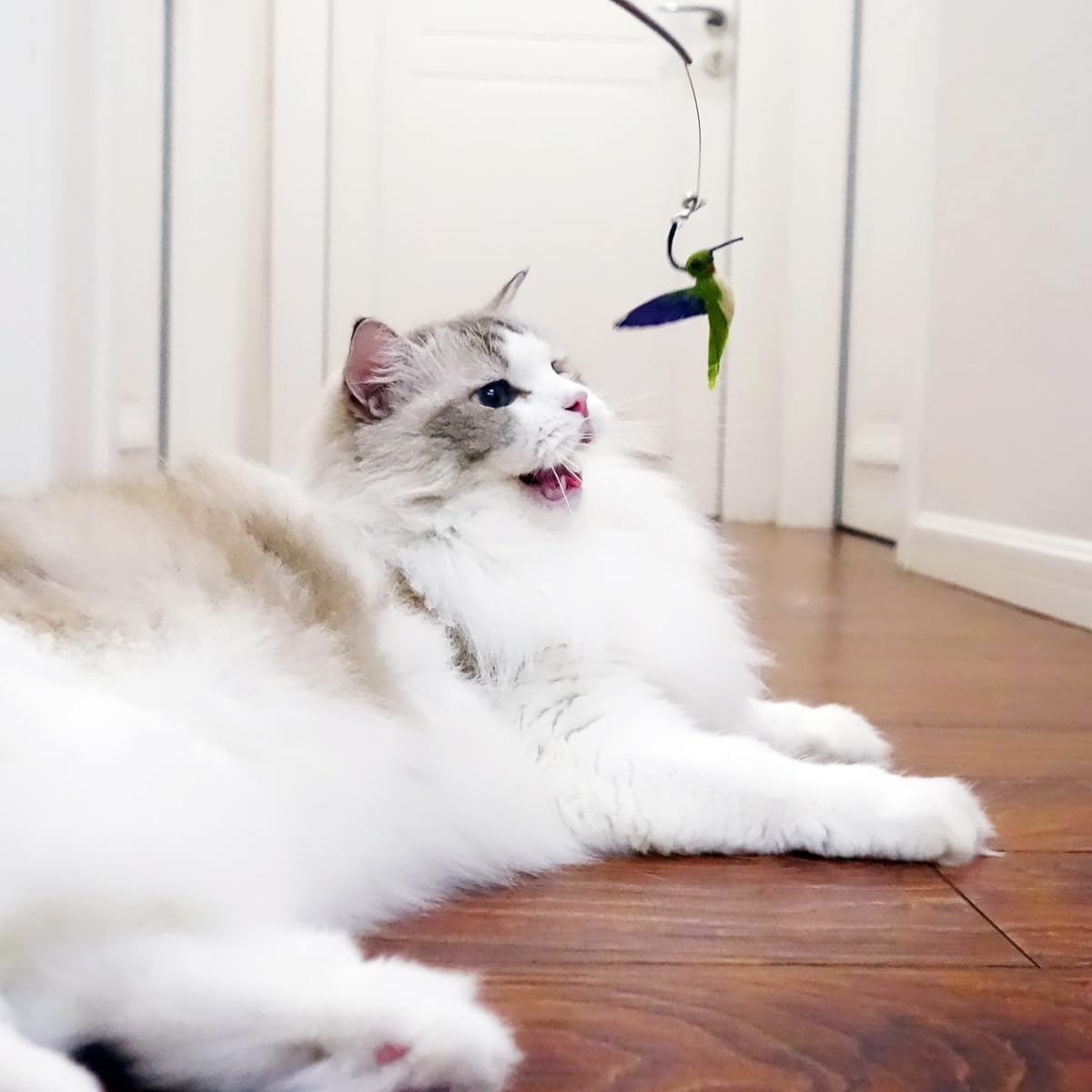 TTcat Cat Feather Toys Replacement,3 Pcs Hummingbird Insect Feathers Refills for Cat Wands.