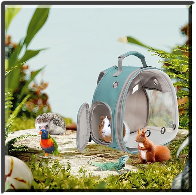 Guinea Pig Backpack Carrier, Bearded Dragon Carrier Backpack with Clear Bubble Window,Small Animal Travel Backpack for Hedgehog Rat，Chameleon,Rabbit,Sugar Glider,Airline Approved (Green, Backpack)