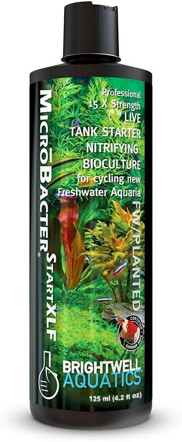 Brightwell Aquatics MicroBacter Start XLF - Concentrated Freshwater Nitrifying Bacteria - Quick Start Fish Tank Starter, Lift Microbe Levels & Water Filtering - Aquarium Water Treatments, 4.22 fl oz