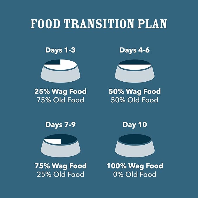 Amazon Brand - Wag Stew Canned Dog Food, Turkey & Sweet Potato Recipe, 13.2 oz Can (Pack of 12)