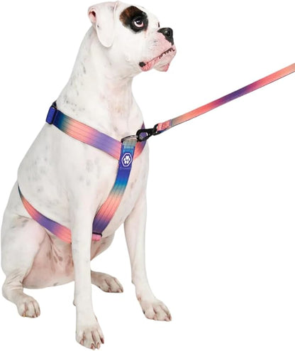 Spark Paws No Pull Dog Harness for Large Dogs, Heavy Duty Dog Harness for Big Strong Breeds, Adjustable, Y Shaped Padded Halter Design with Front Clip - Kaleidoscope- L