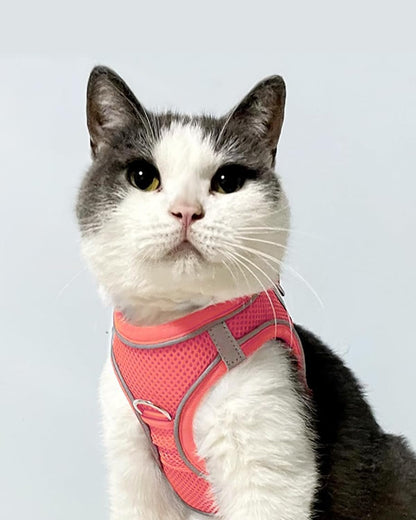 Joytale Small Dog Harness, Breathable Mesh Step-in Vest, Reflective Soft Padded Harnesses for Cats, Puppies and Extra Small Dogs, Pink, XXS