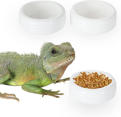 Reptile Food Bowls Ceramic Round Reptile Water Food Dish, Pet Food Bowl for Lizards, Small Snakes, Young Bearded Dragons, Gecko Tortoise Spider (White, Medium-2Pack)