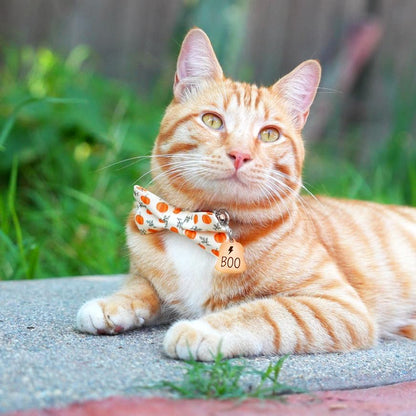 Ultra Joys Cat ID Tag Personalized Pet Tags, Durable Stainless Steel Small Pet Mini Dog Cat Tag Lightweight - Bell Tag in Rose Gold