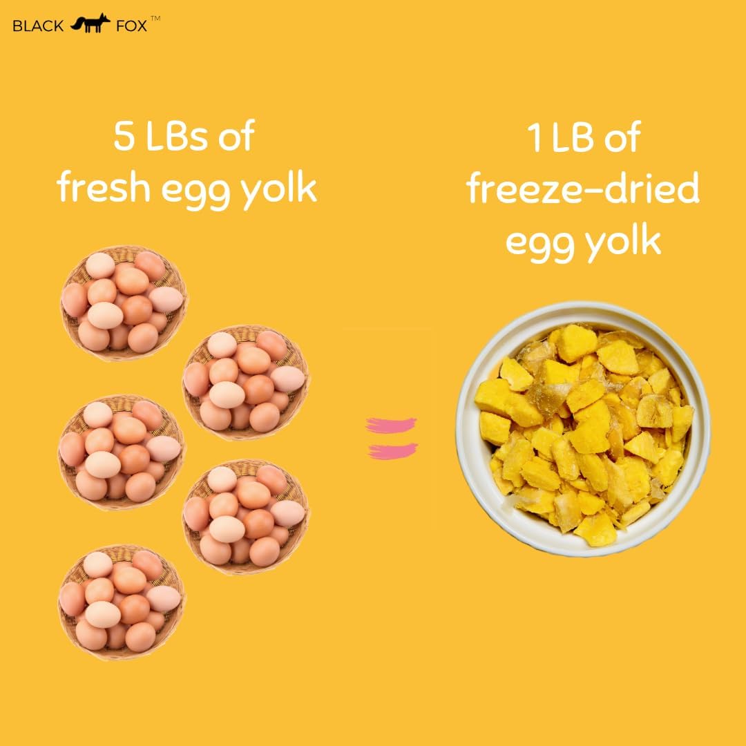 BLACK FOX Freeze-Dried Chicken Egg Yolk Dog Treats | Topper | Cat Treats | 4oz Single Ingredient, Raw, Healthy, All Natural, Human Grade, Digestion & Hairball Control
