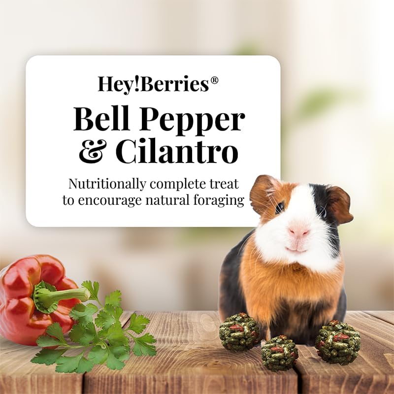 LAFEBER'S Hey!Berries for Guinea Pigs 5 oz (Bell Pepper and Cilantro)