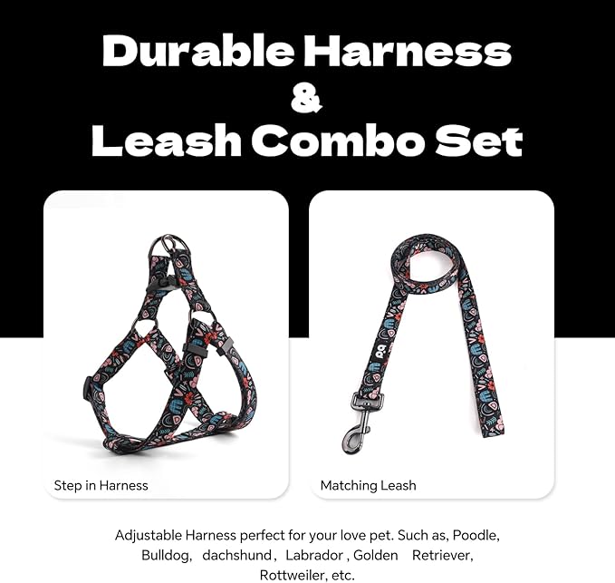 QQPETS Dog Harness Leash Set Adjustable Heavy Duty No Pull Halter Harnesses for Small Medium Large Breed Dogs Back Clip Anti-Twist Perfect for Walking