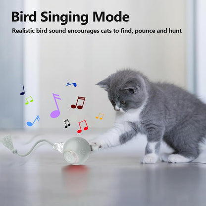 Interactive Cat Toys, Automatic Moving Cat Toy for Bored Indoor Adult Cats, Fast Rolling , Chirping & Motion-Activated Cat Toys, Fun Gift for Cats with Speedy Tail 2.0, USB Rechargeable(gray)