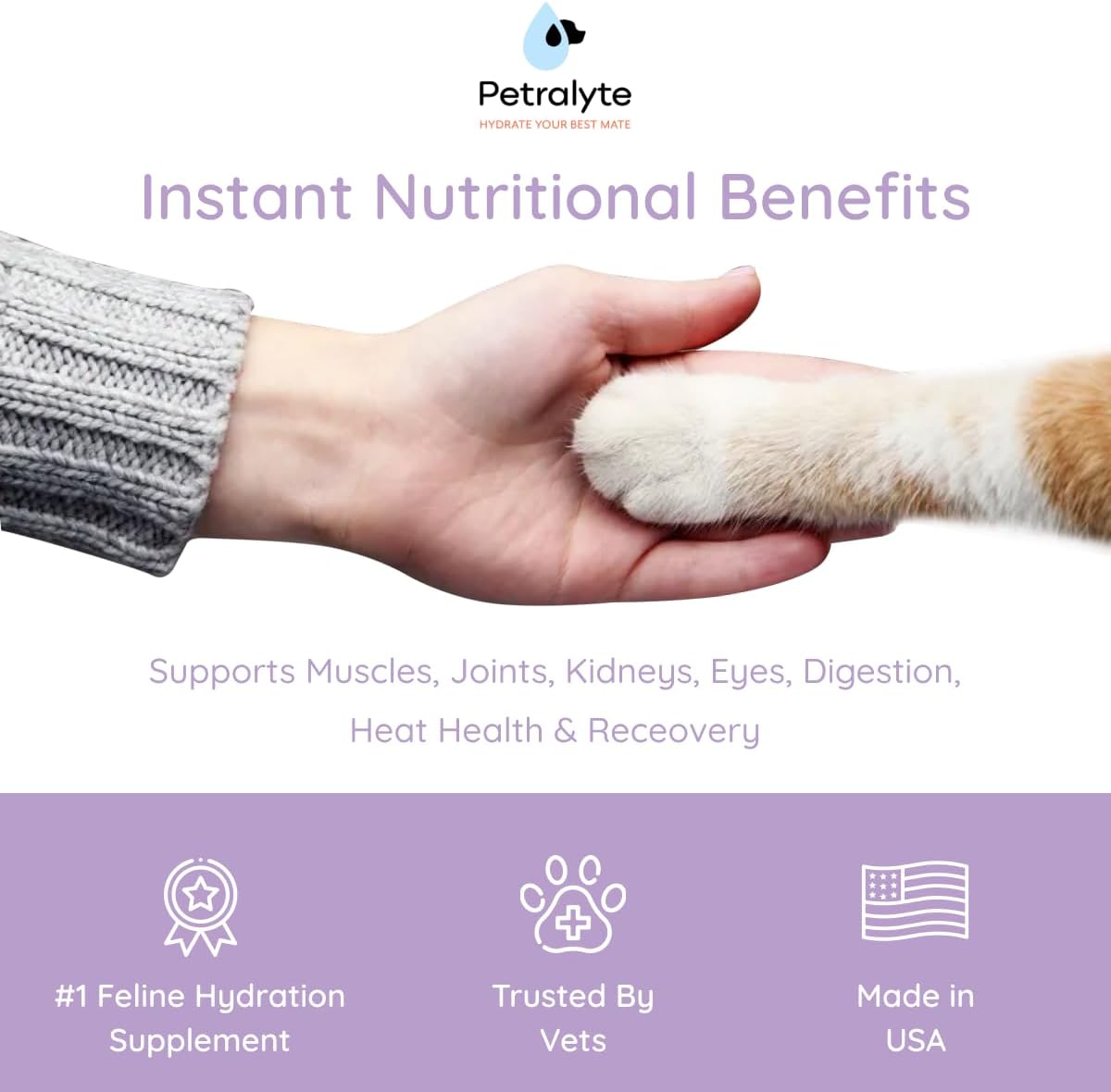 Petralyte Cat Hydration Electrolyte and Cat Joint Supplement | Hydration Support for Cats w/Glucosamine, Chondroitin, L-Glutamine, Taurine, Lysine & Prebiotics | for Salmon Lovers | 16 Packets