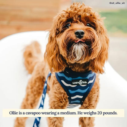 Lucy & Co. Reversible Dog Harness Walking Halter - Harnesses for Small Medium Large XL Dogs - Padded Adjustable - for German Shepherd Pug French Bulldog English Bulldog