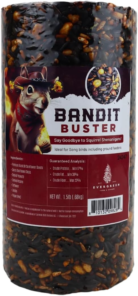 Birdseed Cylinders with Hole - Bird Seed for Outside Wild Birds (Small Cylinder, Bandit Buster 1pc)