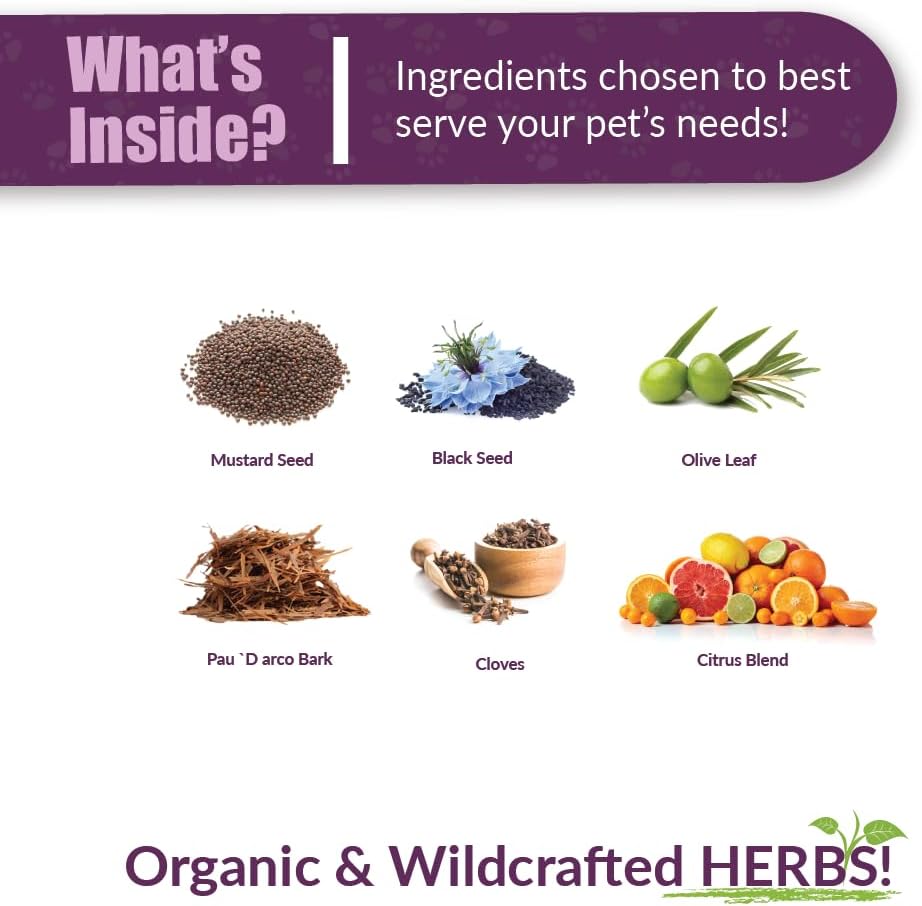 Amber NaturalZ Vibactra Immune Support Herbal Supplement for Dogs, Cats, Birds, Guinea Pigs, and Rabbits | Pet Herbal Blend for Overall Health | 1 Fluid Ounce Glass Bottle | Manufactured in The USA