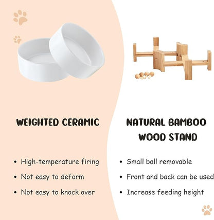 SPUNKYJUNKY 15° Slanted Ceramic Dog and Cat Bowl with Wooden Stand, Tilted Bulldog Food and Water Bowl No Slip Non-Spill for Cats Medium Dogs Big Face Pets 13.5 OZ (1.7 Cups, White × 2)