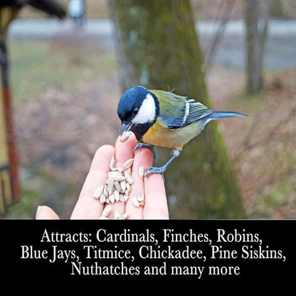 Desert Valley Sunflower Hearts and Chips Seed, All Natural, Non-GMO Premium Wild Bird and Wildlife Food (5 Pounds)