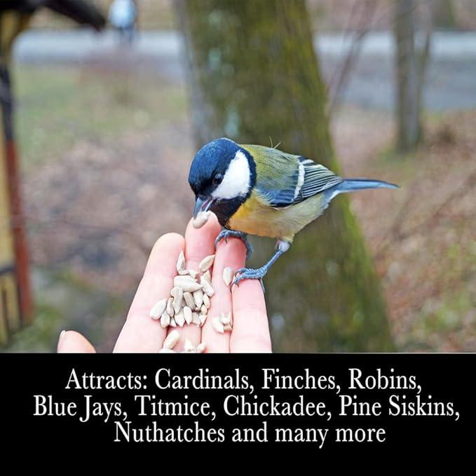 Desert Valley Sunflower Hearts and Chips Seed, All Natural, Non-GMO Premium Wild Bird and Wildlife Food (3 Pounds)