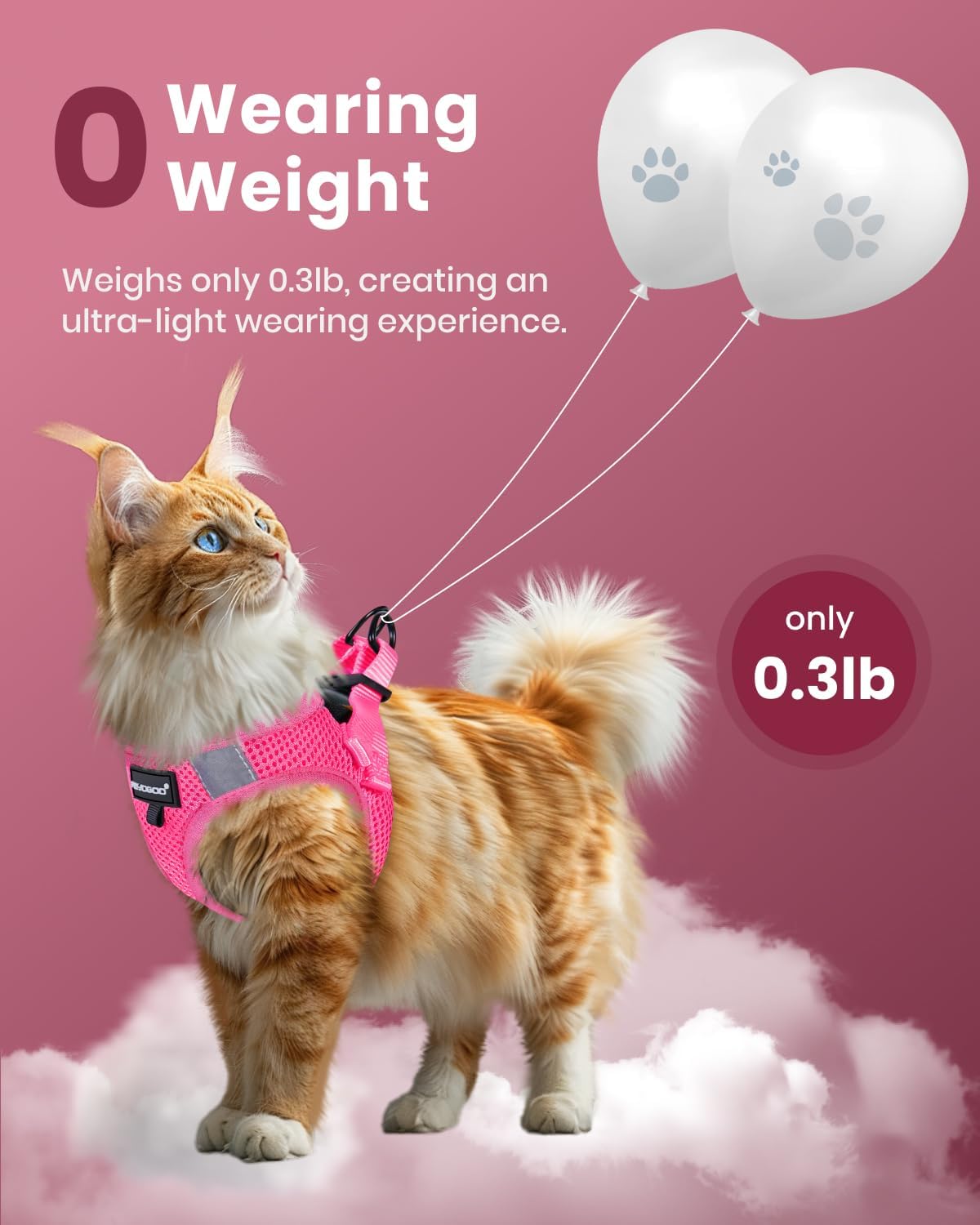 FAYOGOO Cat Harness, Cat Leash and Harness Set for Walking Escape Proof, Harness for Small Cats/Small Dogs, Large Kitten/Puppy Harness and Leash, Harness for Cats S-XXL(Pink, XX-Large)
