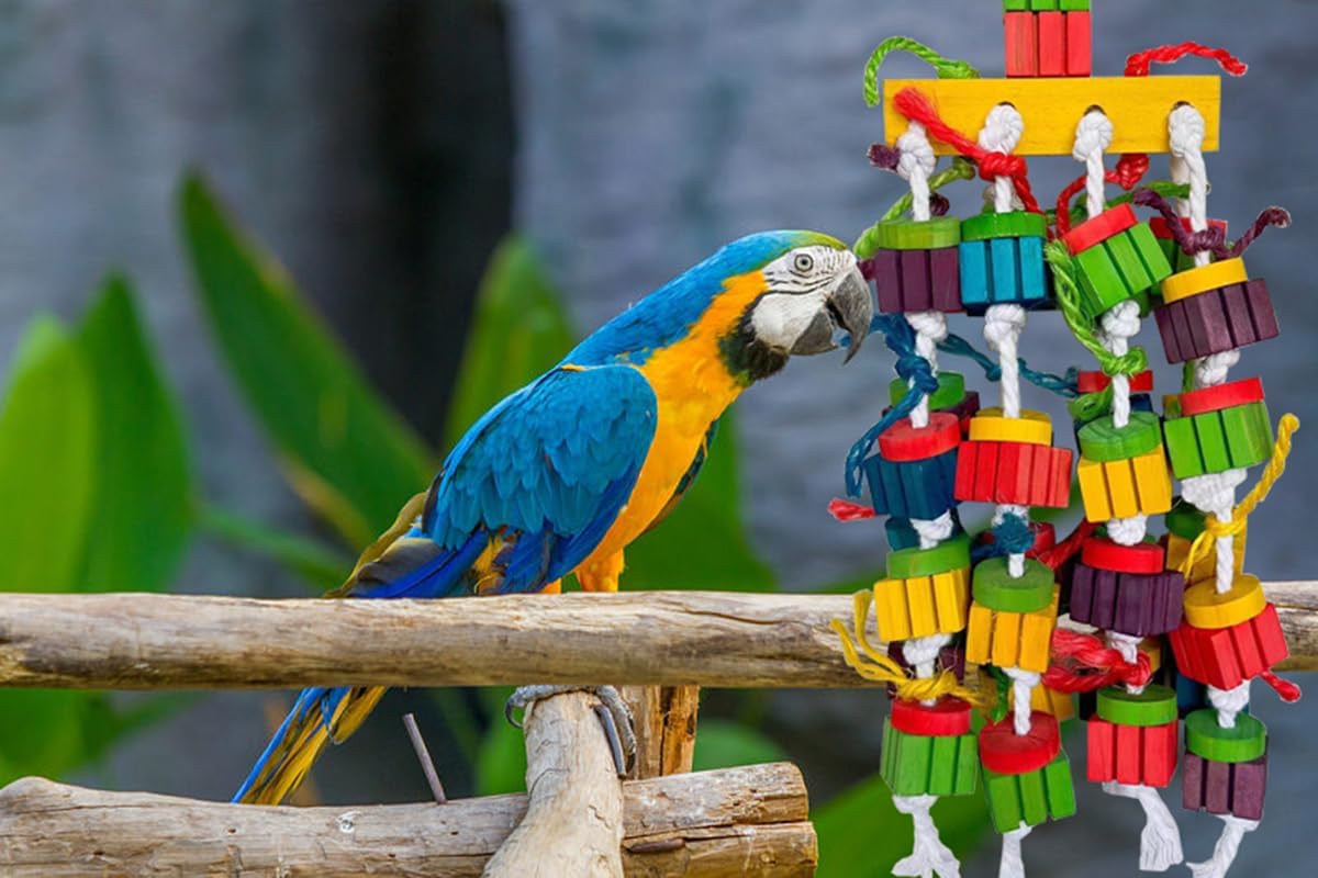 Large Bird Parrot Chewing Toys for Macaws, African Grey, Amazon Parrots, cokatoos (20 inch)