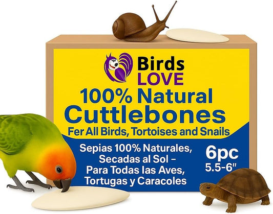 Birds LOVE Natural Cuttlebone | 100% Pure Sun-Dried Calcium Supplement for Birds, Tortoises, Snails & Crabs | Supports Beak & Shell Health | Easy to Chew | 6 Pack, Size 5.5 to 6"