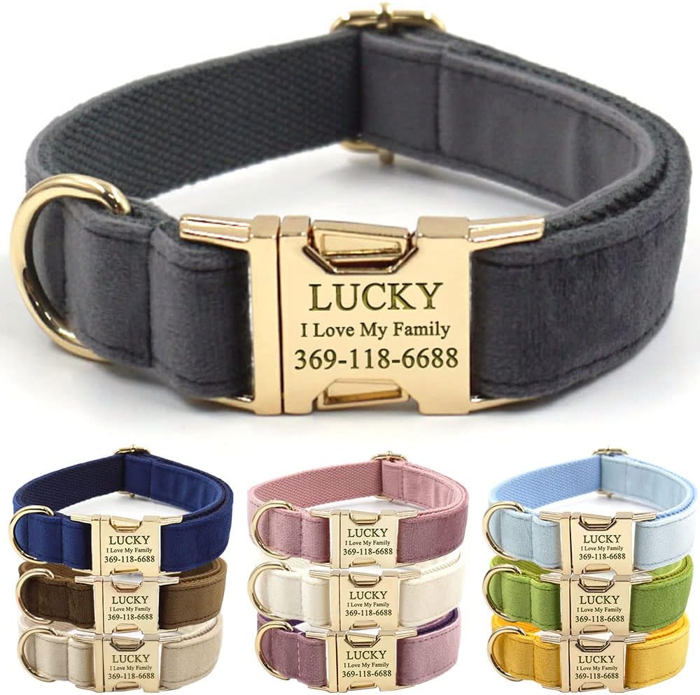 PETDURO Personalized Dog Collar Gray Soft Velvet for Large Medium Small Boy Girl Dogs - Custom Collar with Name Phone Engraved on Gold Metal Buckle - Add Matching Leash Bow Set via Customize Now