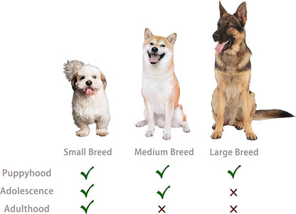 Jalousie Multipack Dog Squeaky Toys Bulk Bundle Pup Toy - Puppy Toys for Pets for Small Medium Breed (12 Pack Rope and Plush Animals)