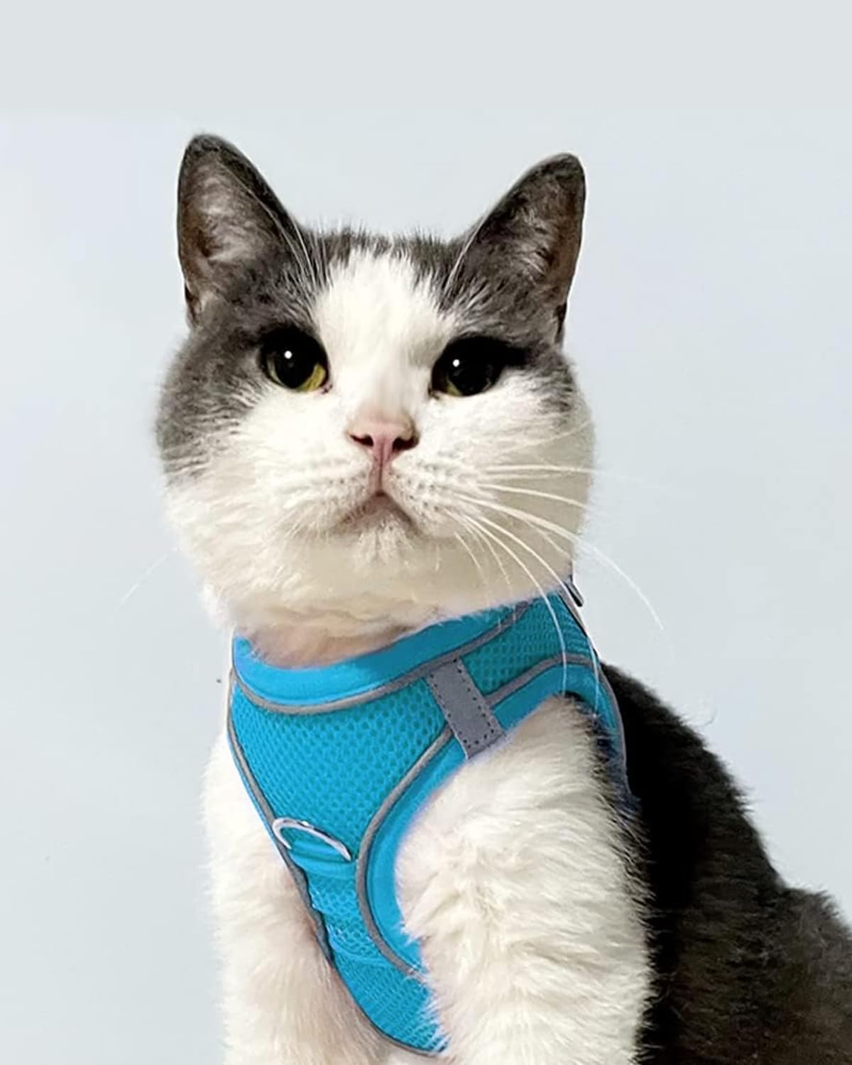 Joytale Small Dog Harness, Breathable Mesh Step-in Vest, Reflective Soft Padded Harnesses for Cats, Puppies and Extra Small Dogs, Sky Blue, XXS