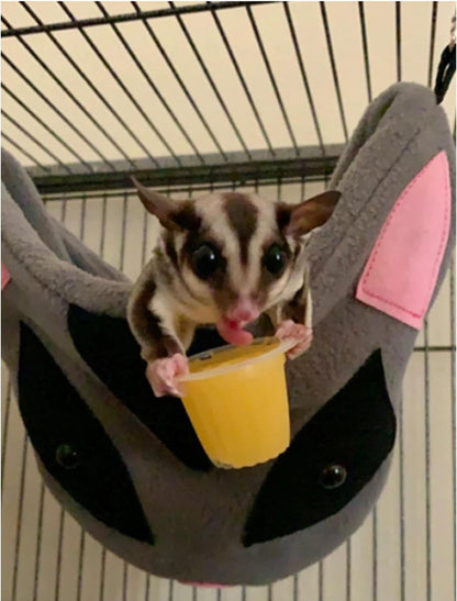 Nectar Pods (Pineapple) - Calcium-Fortified Jelly Fruit Treat - Sugar Gliders, Marmosets, Squirrels, Parrots, Cockatiels, Parakeets, Birds, Hamsters, Day Geckos, Kinkajous & Other Small Pets