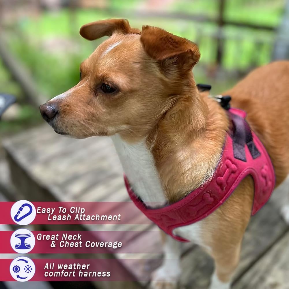 Comfort fit Step-in Dog & Puppy Harness - Comfortable All Weather Dog Vest Harness: Adjustable, Soft Padded, Easy to Put-on for Small, Medium-Sized Dogs.