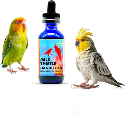Morning Bird Milk Thistle & Dandelion Extract 1 fl oz - Organic Bird Supplement for Optimal Health – Support Liver Heath & Promotes Detox - Suitable for All Birds Species