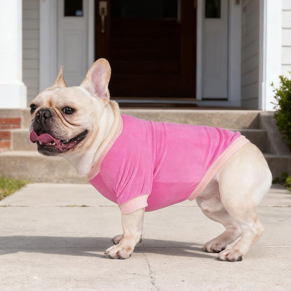 GreenJoy Classic Fleece Dog Sweater – Soft & Warm Stretchy Sweatshirt for Small Dogs & Cats, Cold-Weather Pullover for Everyday Wear (Dark Pink, Large)