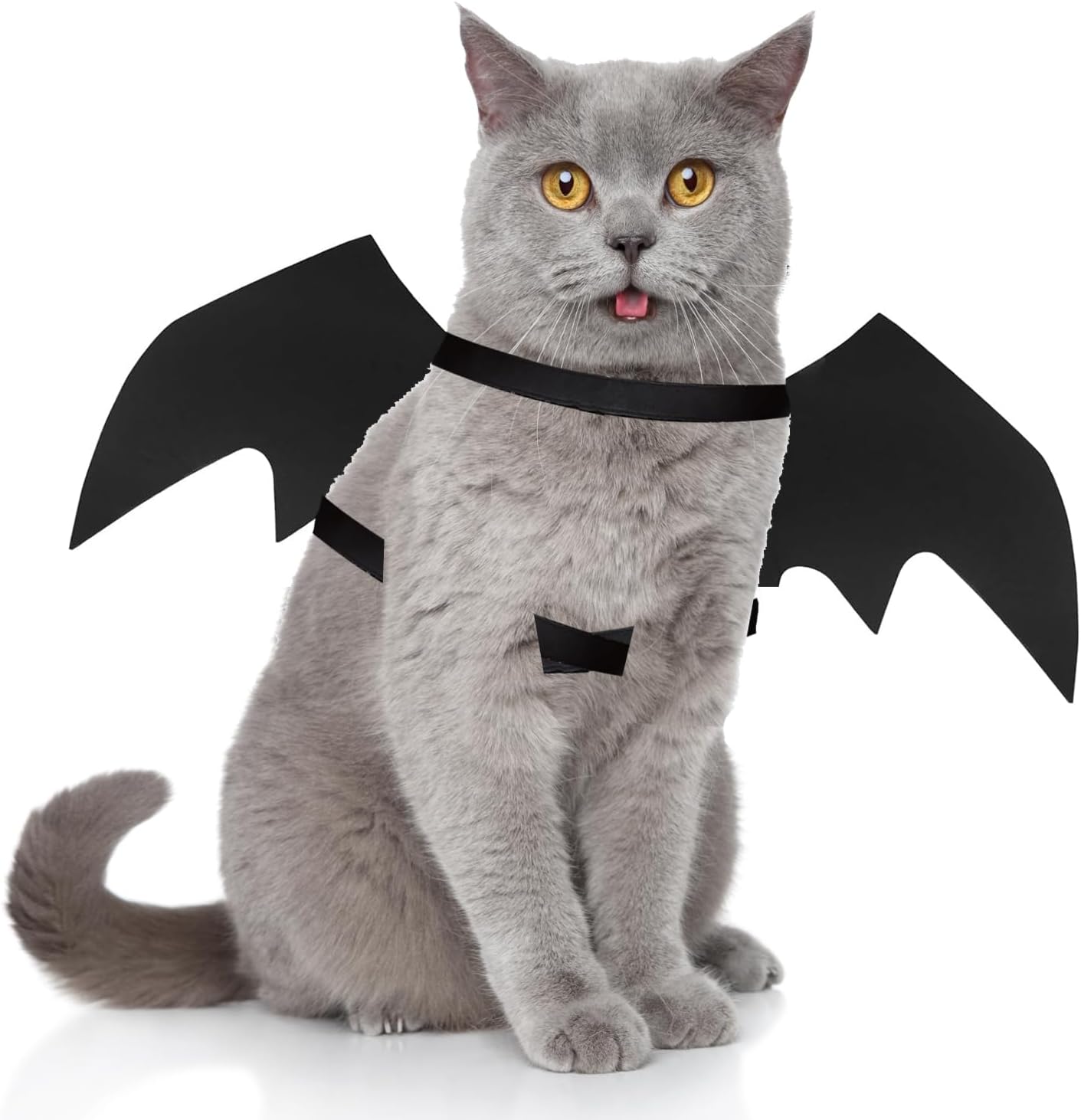 Pet Cat Bat Wings for Halloween Party Decoration, Dog Cosplay Bat Costume,Puppy and Cat Dress Up Accessories (Black, Small)