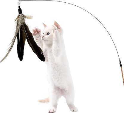 Cat Feather Toys Refills, 10 Pieces Natural Da Bird Feathers Refills, Cat Wand Replacement Feathers for Cat Toy