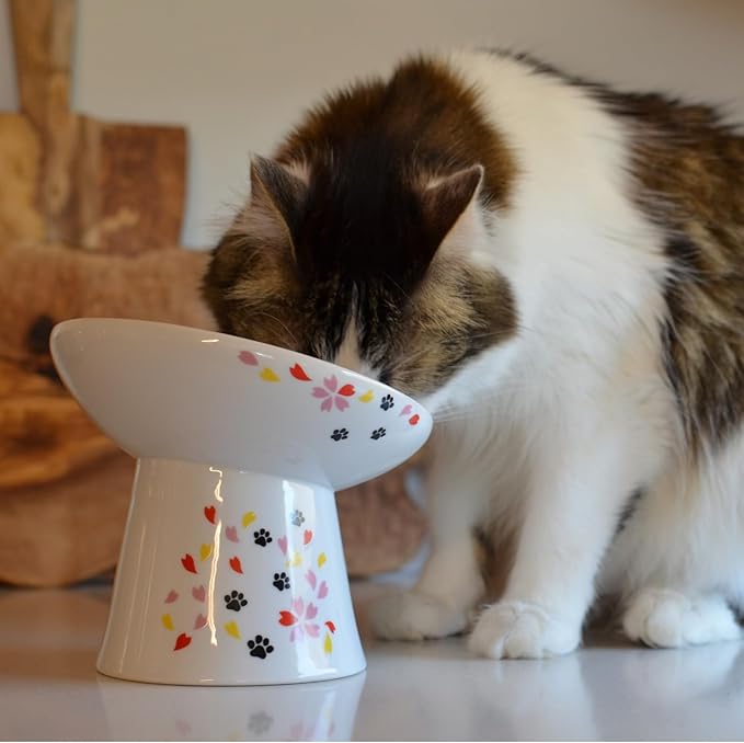 Necoichi Raised Cat Food Bowl – Ceramic Elevated 15° Tilted Cat Bowl for Whisker & Neck Fatigue, Dishwasher Microwave Safe – Non-Slip Anti Vomiting Ergonomic Design (Sakura Floral, Extra Wide Tilted)