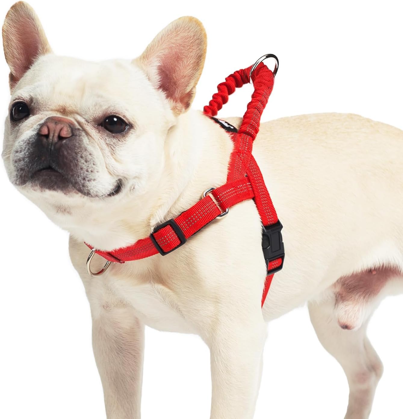 PUPTECK No Pull Dog Harness Small Sized Dog, Adjustable Reflective Pet Vest Harness with Bungee Handle, Escape Proof No Choke Harness for Small Dogs Walking Training, Red S