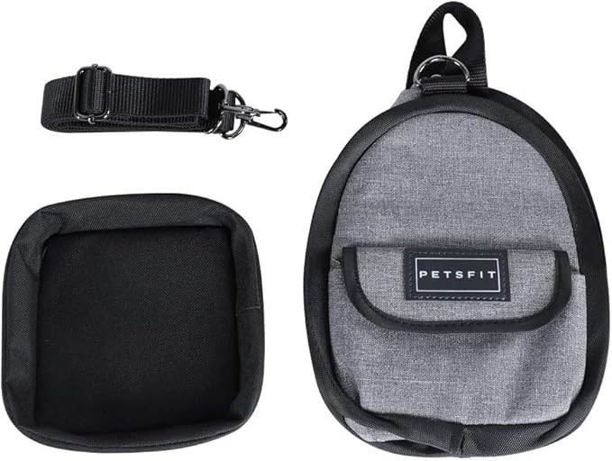 Petsfit Hamster Carrier Small Animal Bag for Sugar Glider,Hedgehog,Tortoise,Teacup Dogs,Baby Guinea Pig - Lightweigh Carriers with Shoulder Strap,Breathable Mesh Window,Removable Mat,Side Pockets