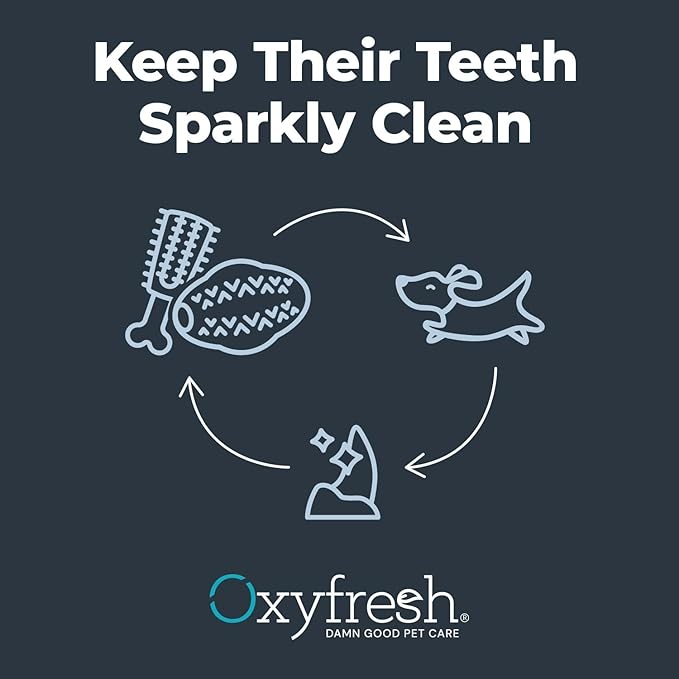 Oxyfresh Dog Dental Chew Toy - Best Durable Rubber Dog Toy & Puppy Teething Toy - Helps Remove Plaque, Cleans Teeth & Freshens Breath Without Brushing (Small) (Pack of 2)