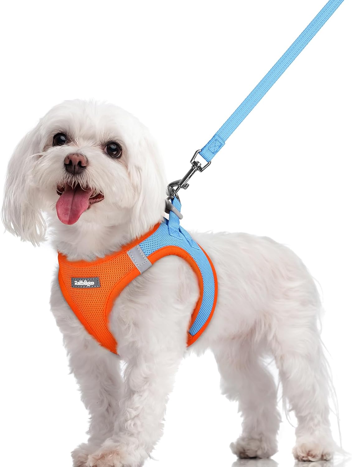 rabbitgoo Dog Harness Small Sized and Leash Set, Step in Soft Light Puppy Vest, Breathable Mesh Pet Harness, Reflective for Safe Easy Walking, Blue & Orange M