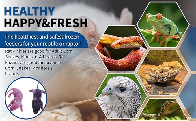 MiceDirect EST. 2003 50 Frozen Rat Combo Pack 25 Rat Pinkies and 25 Rat Fuzzies Feeders Snake Food (.5-2.5 in)(300 Grams Min)