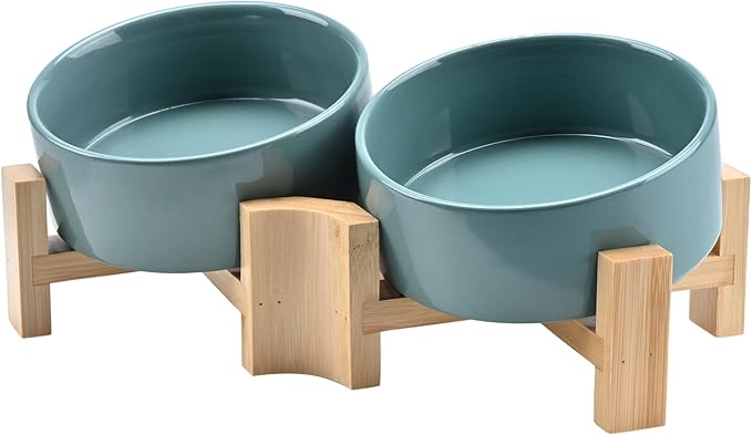 SPUNKYJUNKY 15° Slanted Ceramic Dog and Cat Bowl with Wooden Stand, Tilted Bulldog Food and Water Bowl No Slip Non-Spill for Cats Medium Dogs Big Face Pets 13.5 OZ (1.7 Cups, Light Green × 2)