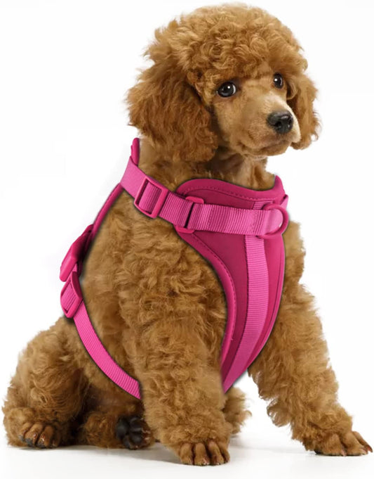 Wisedog No Pull Lightweight Dog Vest Harness with Soft and Comfortable Cushion, Breathable Mesh, for Small Medium Large Dogs Walking (XS(Neck: 7.48"-10.63";Chest: 10.63"-15.35"), Peacock Pink)