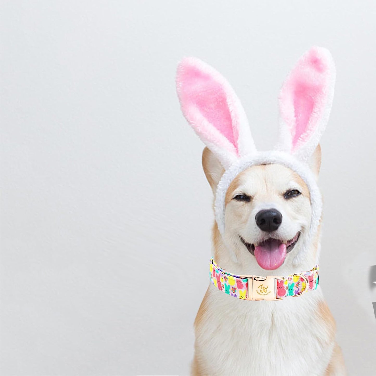 Elegant little tail Easter Dog Collar, Bunny Print Pet Collar Durable Cotton Dog Collars Girl or Boy Metal Collars Holiday Pet Gift Adjustable Dog Collar for Medium Dogs