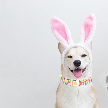 Elegant little tail Easter Dog Collar, Bunny Print Pet Collar Durable Cotton Dog Collars Girl or Boy Metal Collars Holiday Pet Gift Adjustable Dog Collar for Small Dogs