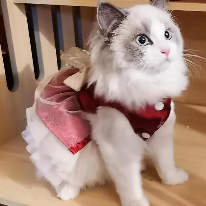 ANIAC Retro Dog Tulle Dress with Leash Ring Spring Summer Girl Puppy Clothes for Small Dog Cat Apparel Formal Pet Prom Dress for Christmas Wedding Birthday Valentines (Red,Small)