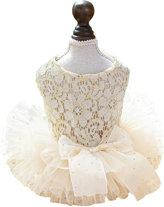 ANIAC Small Dog Dresses,Girl Puppy Princess Tutu Dress with Bow Knot,Cat Outfit,Chihuahua Yorkie Clothes for Birthday Wedding (X-Small,GL)