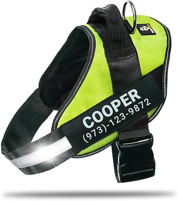 Personalized No-Pull Dog Harness with Name Patch, Adjustable, Reflective, Padded, Heavy Duty Pet Vest to Prevent Tugging, Pulling, or Choking, Training and Walking, Green, XL