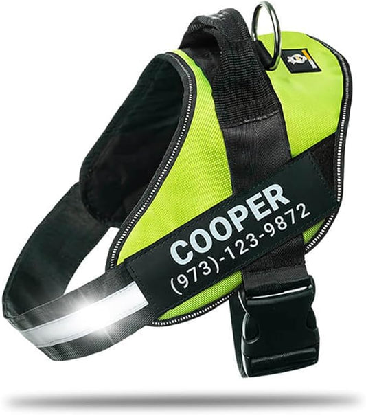 Personalized No-Pull Dog Harness with Name Patch, Adjustable, Reflective, Padded, Heavy Duty Pet Vest to Prevent Tugging, Pulling, or Choking, Training and Walking, Green, XL