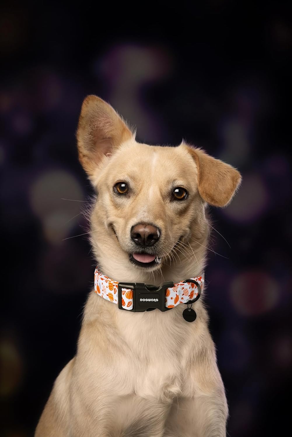 DOGWONG Halloween Pumpkin Dog Collar, Cotton Fall Dog Collar Cute Comfortable Fall Dog Collars Thanksgiving Necklace for Small Girl Boy Puppy Dogs