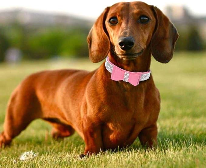 Rhinestone Dog Collar, Cute Dazzling Sparkling Soft Suede Leather Adjustable Pet Dog Cat Collar Crystal Diamond for Puppy Small Medium Large Dogs (M:32-38cm, Pink-1)
