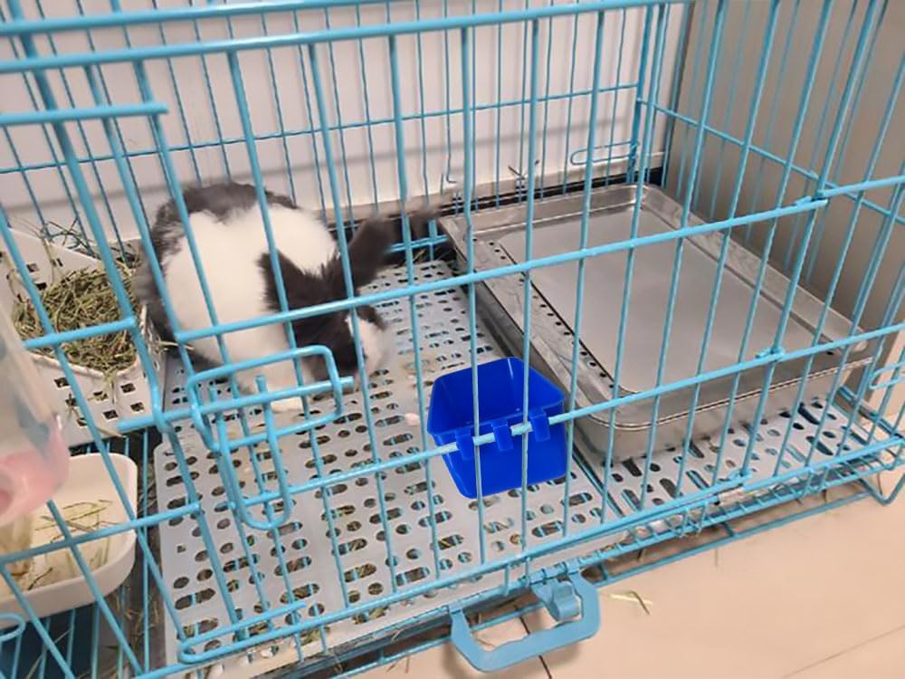 Pack of 20 Cage Cups Birds Feeders Seed Bowl Chicken Feeding Watering Dish Rabbit Water Food Hanging Wire Cages Box 16 oz Coop Cups for Pet Parrot Parakeet Game Fowl Poultry Pigeon